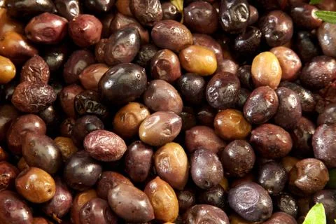 Olives Stock Photos