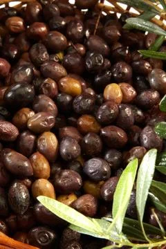 Olives Stock Photos