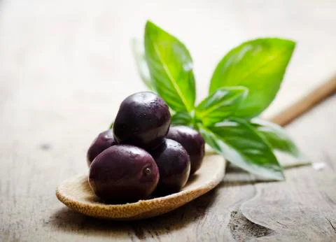Olives Stock Photos
