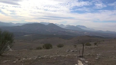 Olives Spain13 100mbps Video stock 259863742