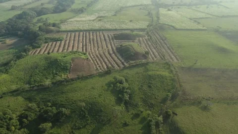 Olmec Mexico Ancient Pyramids, Drone View, Tres Zapotes, Veracruz 4K Stock Footage 296346959