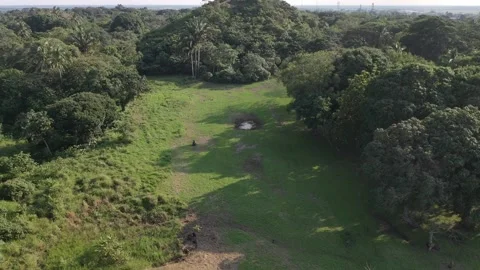Olmec Site, La Venta Pyramids Drone Clip  4K Stock-Footage 147431606