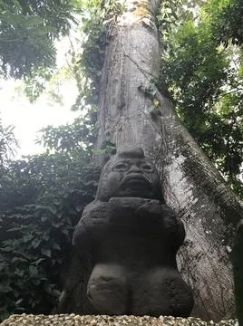 Olmec1 Stock Photos