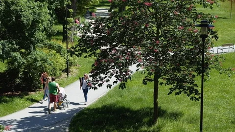 Olomouc - Elevated view of people walking and skating in the park. 4K resolution Stock Footage 110735264