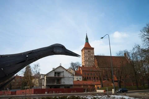 Olsztyn, Poland - 24 February 2021 - bird cormorant monuments in the central  Stock Photos