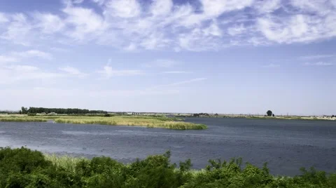 Olt River with ducks swimming Stock Footage 53249085