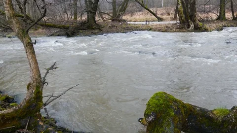 Olt river at wintertime. Stock Footage 85524341