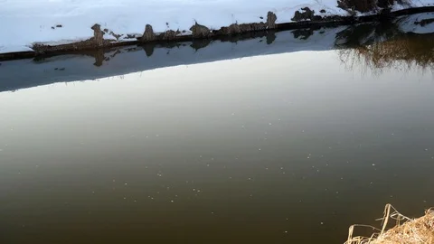 Olt river at wintertime. Stock Footage 102620213