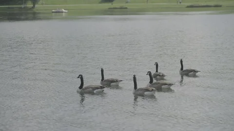 Olympiapark in Munich Stock Footage 230432223