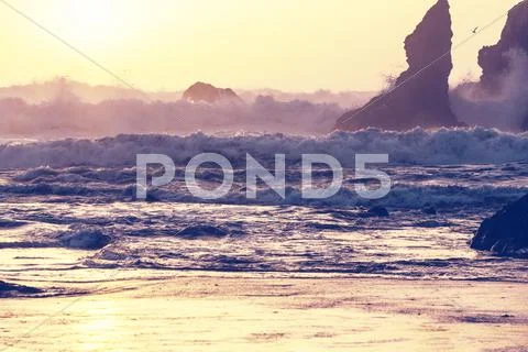 Olympic coast Stock Photos
