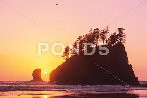 Olympic coast Stock Photos