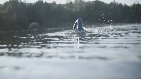 Olympic front crawl swimming Vídeos de archivo 92850817