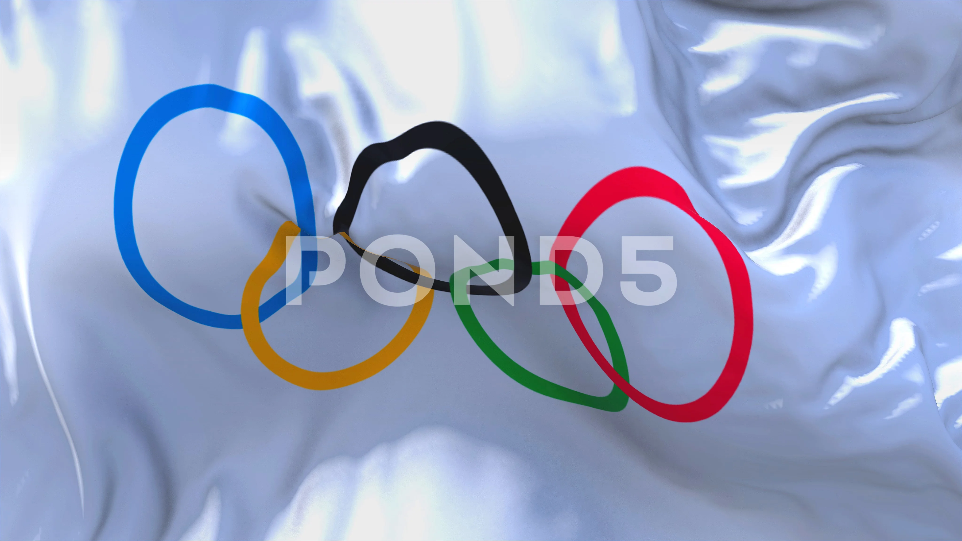 USA Olympic Rings Flag