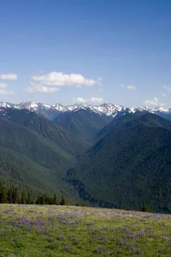 Olympic Mountains Stock Photos