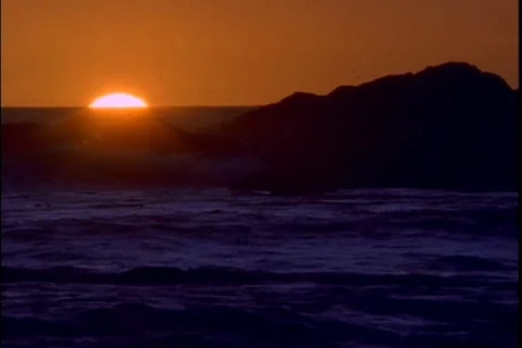 Olympic National Park Stock Footage 99117443