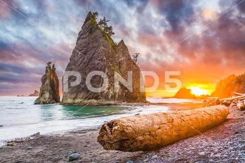Olympic National Park, Washington, USA Beach Stock Photos