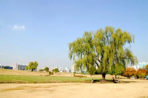 Olympic Park Stock Photos