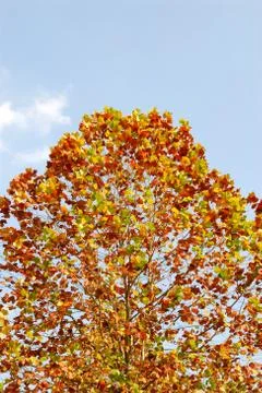 Olympic Park Foto stock