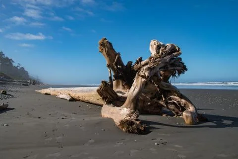 Olympic Peninsula Beach Stock Photos