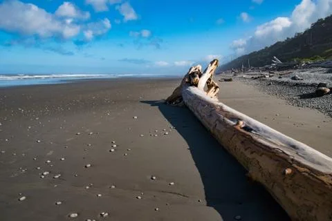 Olympic Peninsula Beach Stock Photos