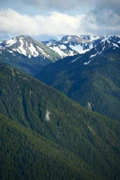Olympic peninsula mountains 库存照片