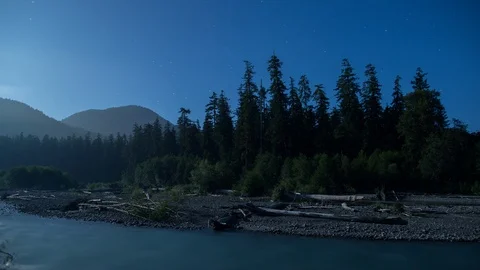 Olympic Rain Forest River Night Timelapse 4k Stock Footage 102691557