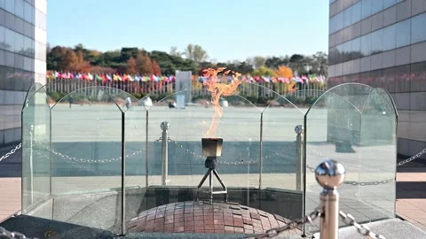 Olympic torch Stock Footage 142866322