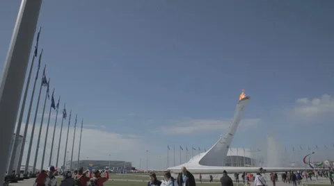 Olympic torch at the World Winter Olympic Games XXII Stock Footage 63297867