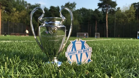 Olympique de Marseille Stock Footage 208926769