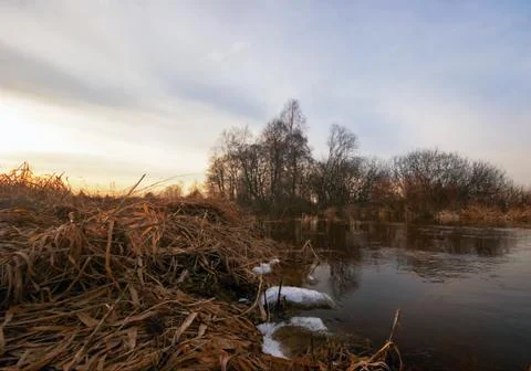 Olympus digital camera Stock Photos