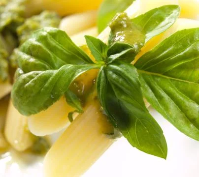 Olympus digital camera Stock Photos