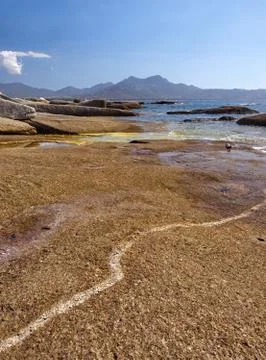 OLYMPUS DIGITAL CAMERA Stock Photos