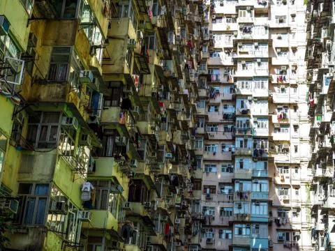 OLYMPUS DIGITAL CAMERA Stock Photos