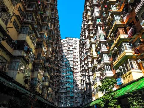 OLYMPUS DIGITAL CAMERA Stock Photos