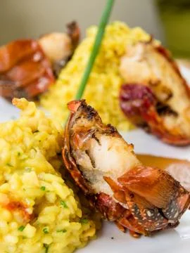 OLYMPUS DIGITAL CAMERA Stock Photos