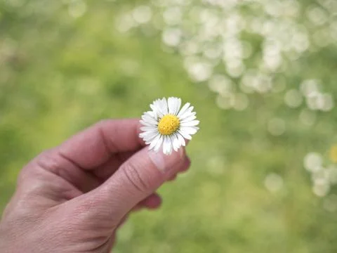 OLYMPUS DIGITAL CAMERA Stock Photos