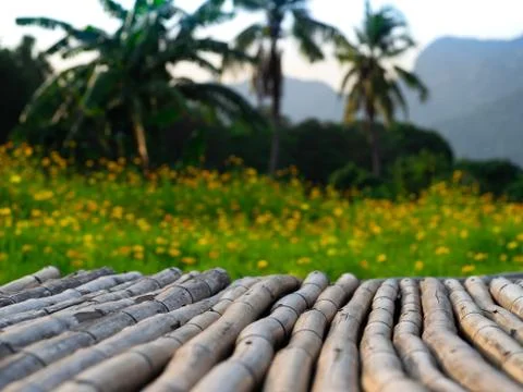 OLYMPUS DIGITAL CAMERA Fotos de archivo