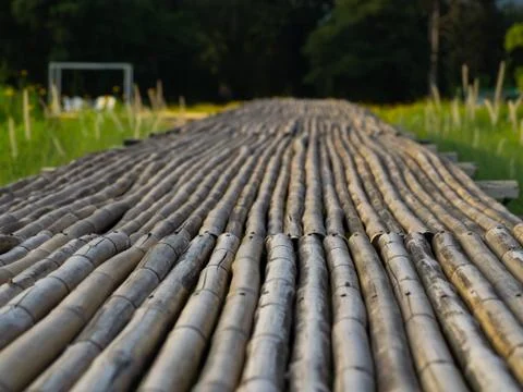 OLYMPUS DIGITAL CAMERA Stock Photos