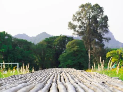 OLYMPUS DIGITAL CAMERA Stock Photos