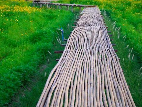 OLYMPUS DIGITAL CAMERA Stock Photos