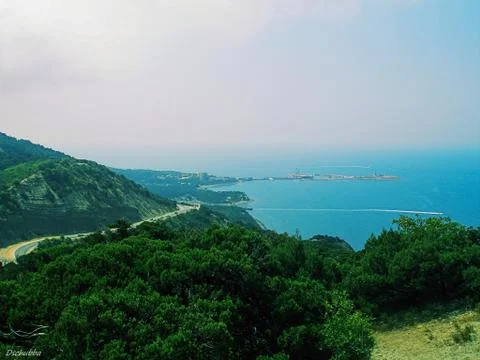 OLYMPUS DIGITAL CAMERA Stock Photos