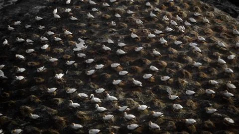 OLYMPUS DIGITAL CAMERA 库存照片