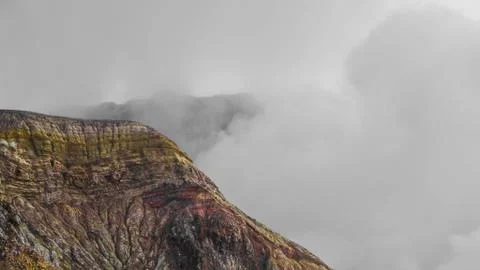 OLYMPUS DIGITAL CAMERA 库存照片