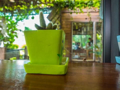 OLYMPUS DIGITAL CAMERA Stock Photos