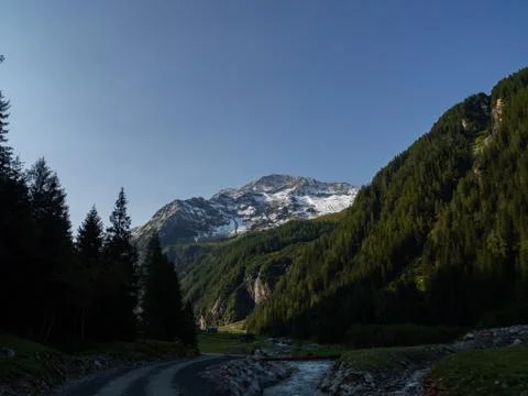 OLYMPUS DIGITAL CAMERA Stock Photos