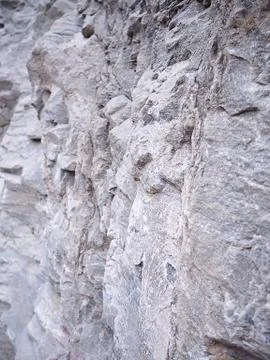 OLYMPUS DIGITAL CAMERA Stock Photos