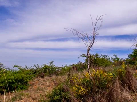 OLYMPUS DIGITAL CAMERA Stockfoto's