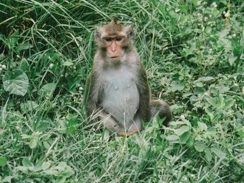 OLYMPUS DIGITAL CAMERA Stock Photos