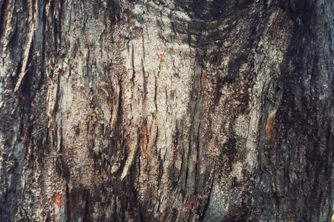 OLYMPUS DIGITAL CAMERA Photos