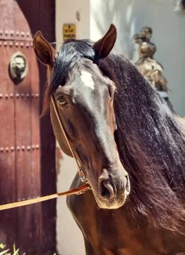 OLYMPUS DIGITAL CAMERA Stock Photos